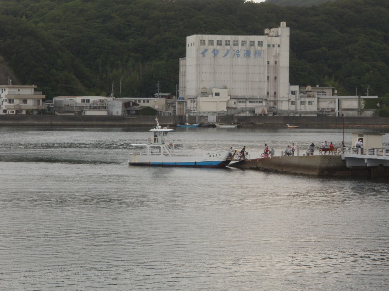 P8230094