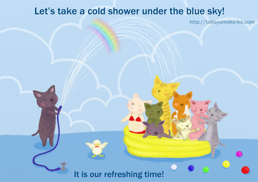 cat-shower.jpg