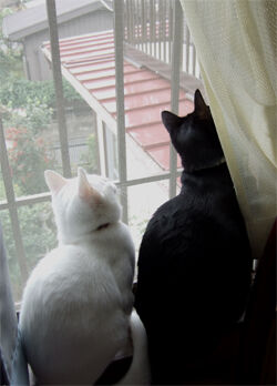 together.jpg