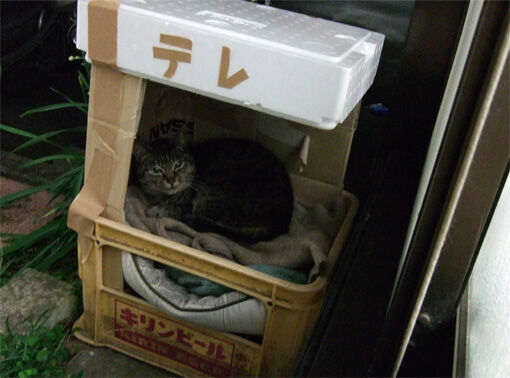 terehouse...jpg