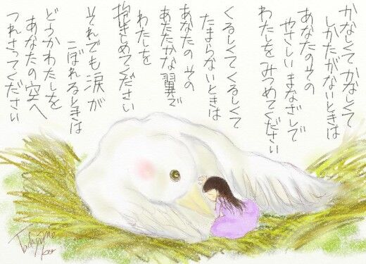 bird-.jpg