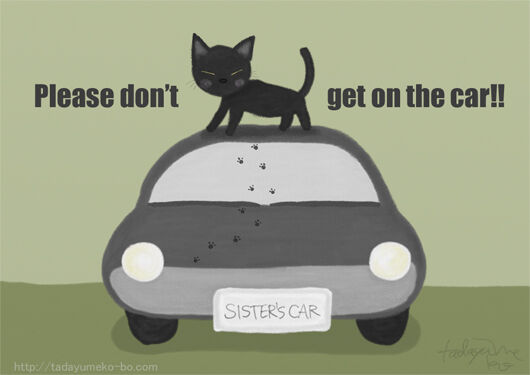 cat-car.jpg