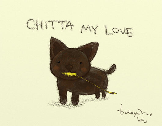 chitta2010.jpg