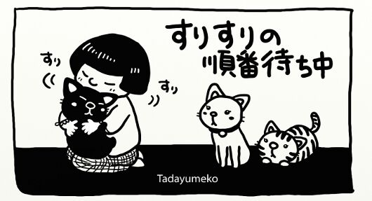 モノクロ猫イラスト