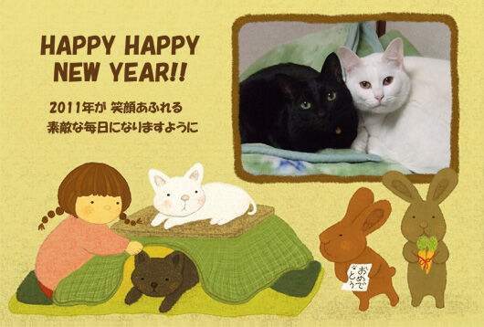 kotatsu2011.jpg