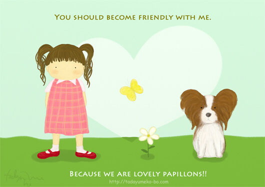 papillon-.jpg