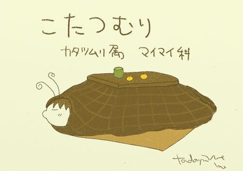 kotatsumuri1.jpg