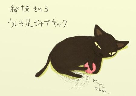 必殺技3.jpg