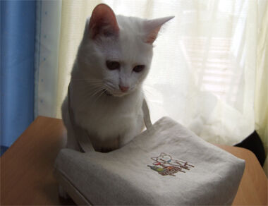 wine-cat14.jpg