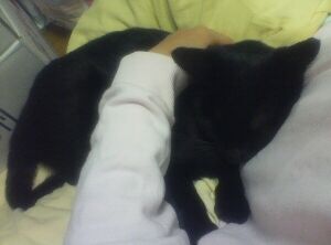 chiro on my lap.jpg