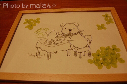 photo by maiさん