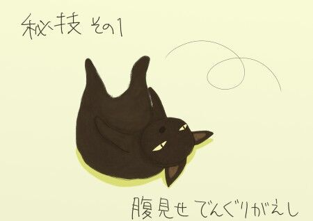 必殺技1.jpg