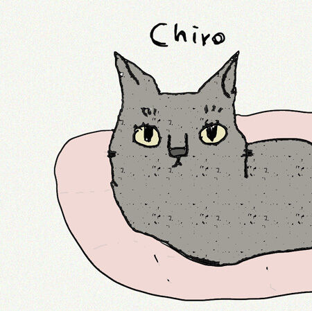 chirorin.jpg