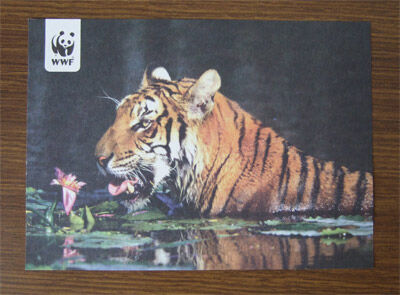 wwf-card1.jpg