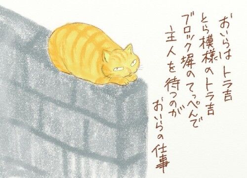 torakichi--1.jpg