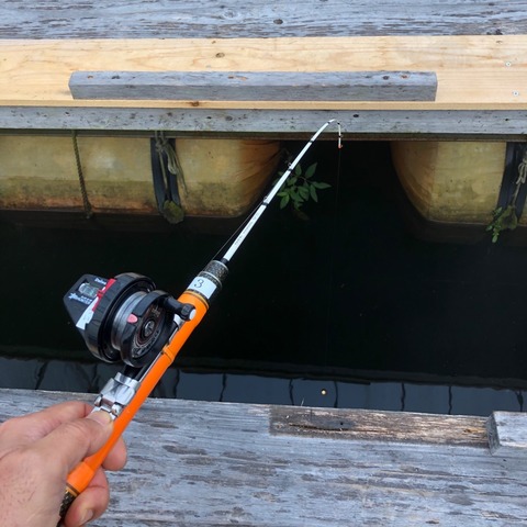 FullSizeRender