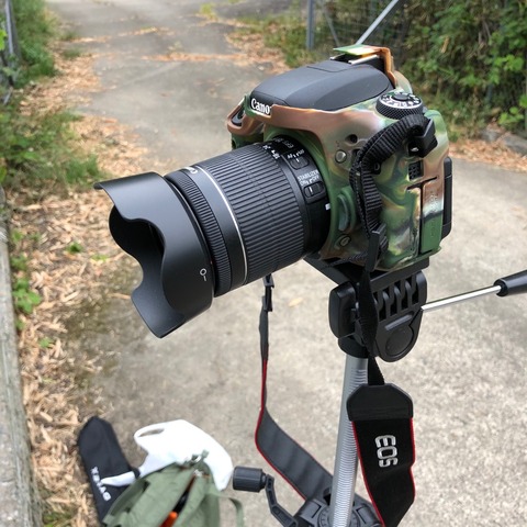 FullSizeRender