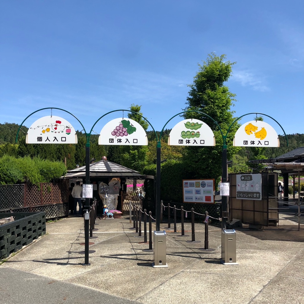 シーズン終了 三田 花のじゅうたん へ行ってみた ゆっくり走るよ シーズン終了 三田 花のじゅうたん へ行ってみた ゆっくり走るよ