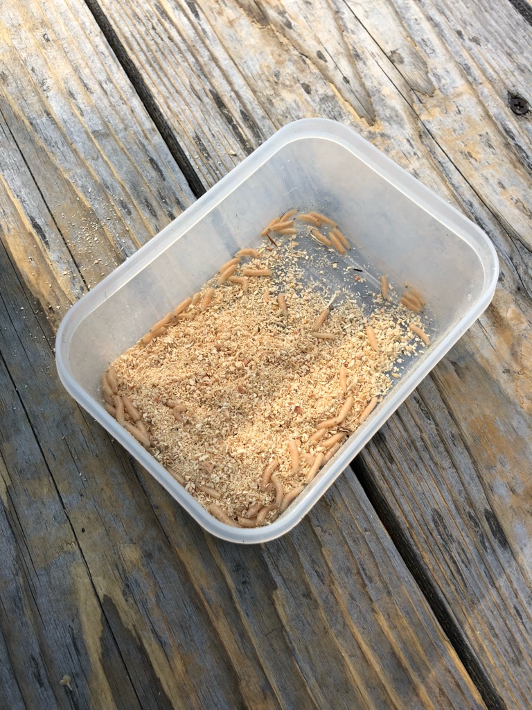 ワカサギ釣りをやってみた ゆっくり走るよ ワカサギ釣りをやってみた ゆっくり走るよ