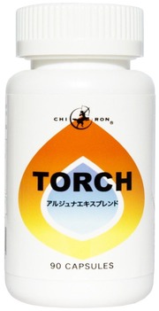 ¿·torch %282%29