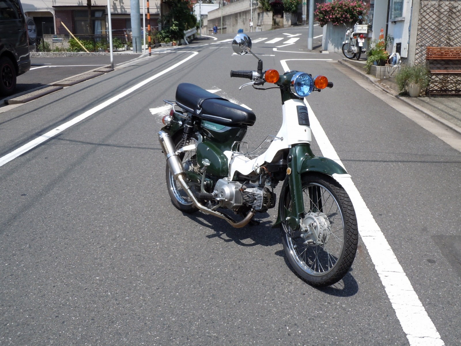 カブちゃんサマーカット 芒 果 殿 下 の 備 忘 録 カブちゃんサマーカット 芒 果 殿 下 の 備 忘 録