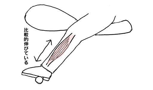 ハーレーはデブに優しい ハレときどきｂｍ