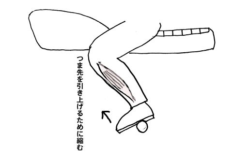 ハーレーはデブに優しい ハレときどきｂｍ