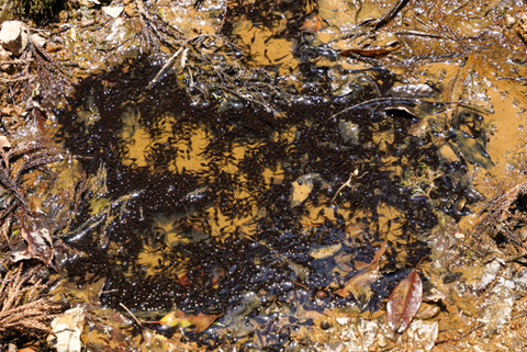 君ヶ畑〜宮坂峠-6