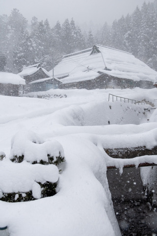 2009君ヶ畑・雪-4