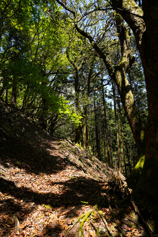 2020君ヶ畑・宮坂峠付近-4-2