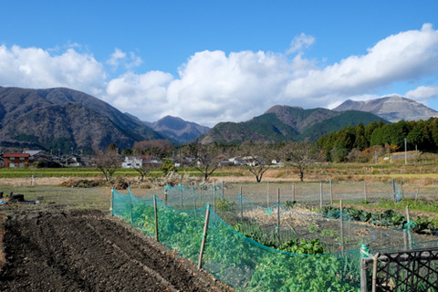 2015三重・北勢町新町、青川-1