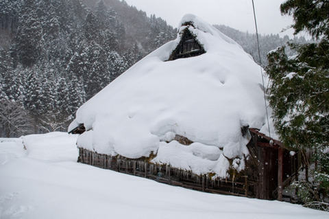 2009君ヶ畑・雪-1