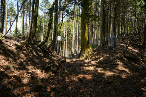 君ヶ畑〜宮坂峠-5