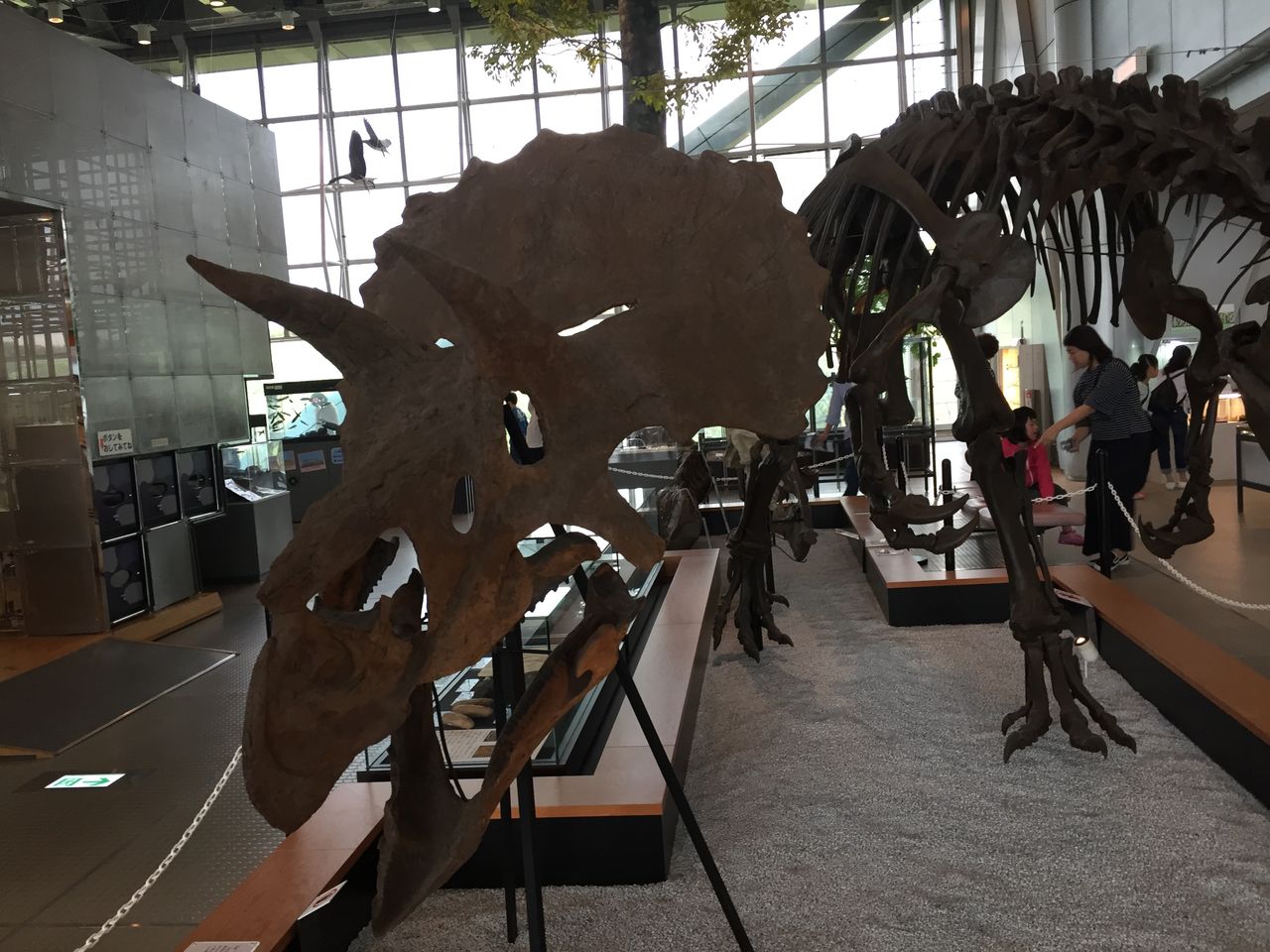 スリーエム仙台市科学館 Mast多賀城ハウジングのスタッフブログ