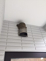 IMG_2882[1]