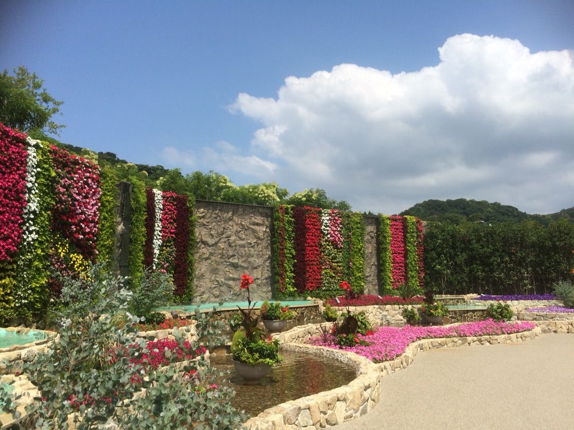 ラグーナテンボスのフラワーラグーン タガメとタナゴ ちょっと家庭菜園のblog