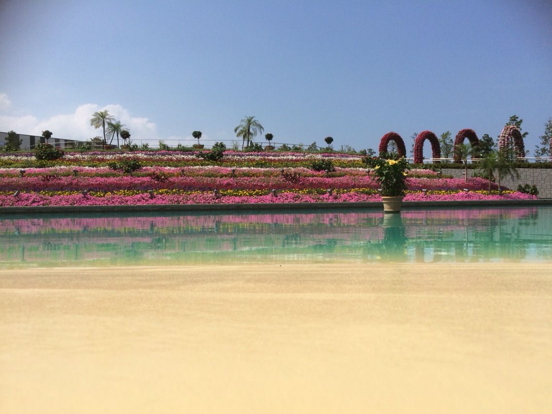 ラグーナテンボスのフラワーラグーン タガメとタナゴ ちょっと家庭菜園のblog