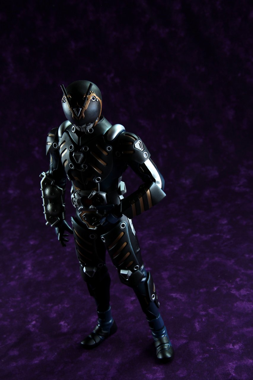 RAH オルタナティブ・ゼロ レビュー : たごさくライダー写真館 RAH オルタナティブ・ゼロ レビュー : たごさくライダー写真館