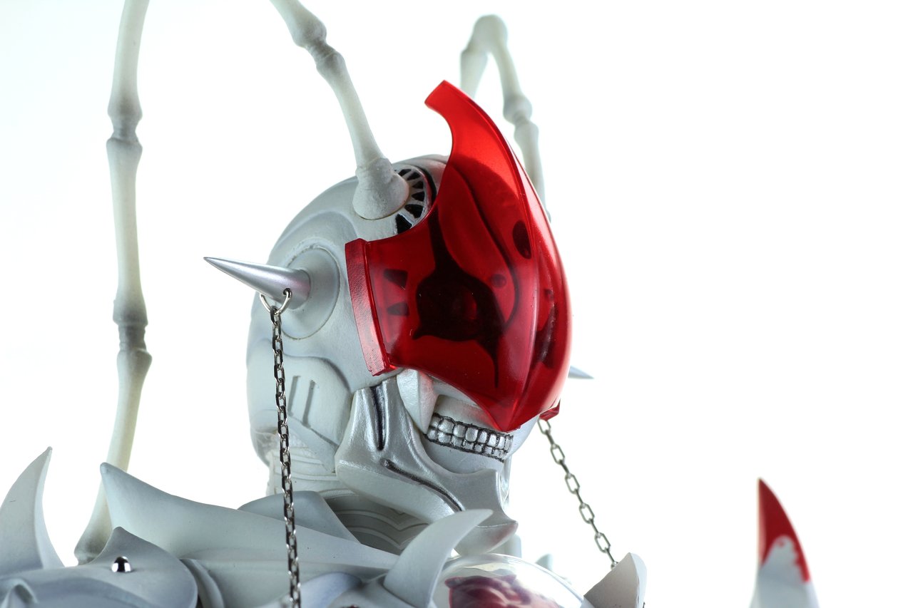 RAH アルビノジョーカー レビュー : たごさくライダー写真館