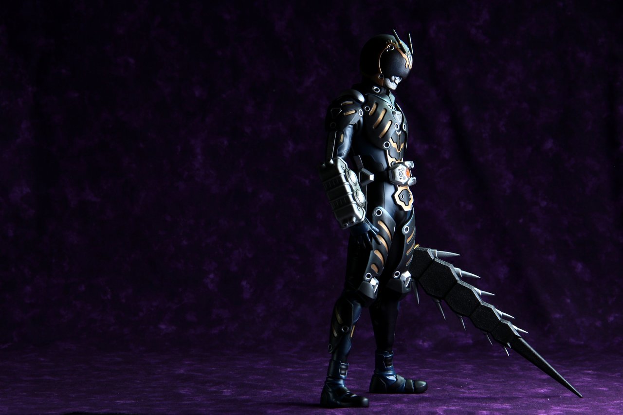 RAH オルタナティブ・ゼロ レビュー : たごさくライダー写真館 RAH オルタナティブ・ゼロ レビュー : たごさくライダー写真館