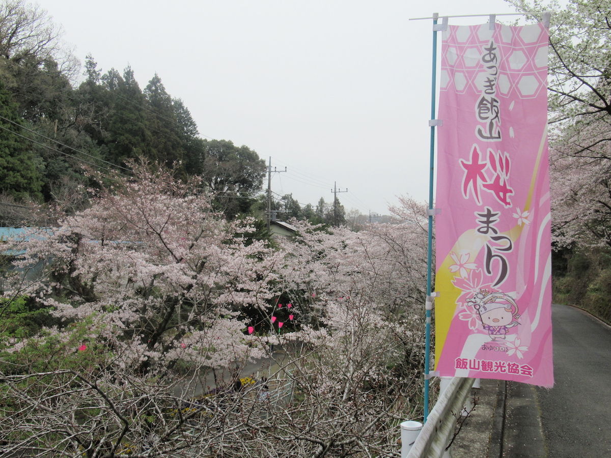 3月30日 土 第55回 あつぎ飯山桜まつり 厚木市議会議員 田口たかお 活動ブログ