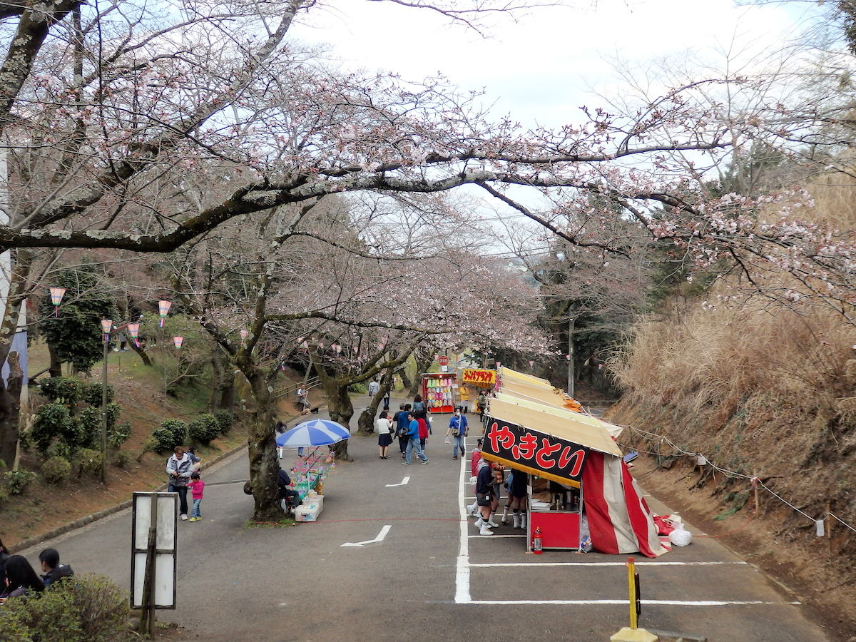 3月27日 日 第52回あつぎ飯山桜まつり 厚木市議会議員 田口たかお 活動ブログ 3月27日 日 第52回あつぎ飯山桜まつり 厚木市議会議員 田口たかお 活動ブログ