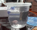 Ķ����Ŭ��