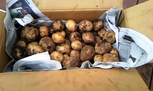 ˭���(^o^)��