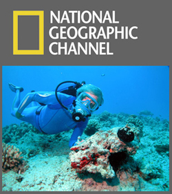 �ޥ�󡦥�������