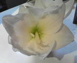 �ɤ��ä��ɤ��ä��ʡ�������