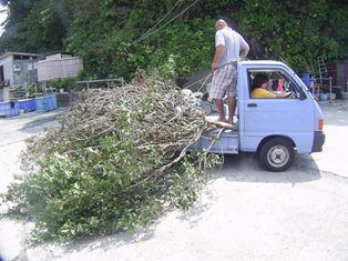 ������äƱ��Ӥޤ��ʾС�