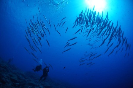 23754725_1531266613619335_152573911603967480_n