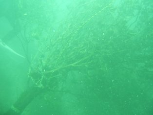 ���־��˰�ư���ޤ�