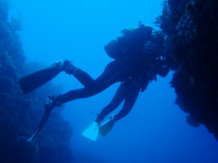 ���ؤˤϥޥ�����ʪ�⤤�äѤ���